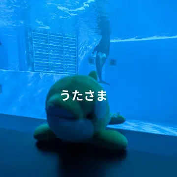 우타사마 반딧불이 유리