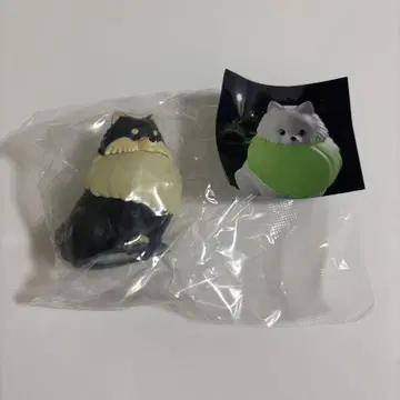 빛나는 목걸이를 한 산책용 포메 라이트 블랙 & 탄