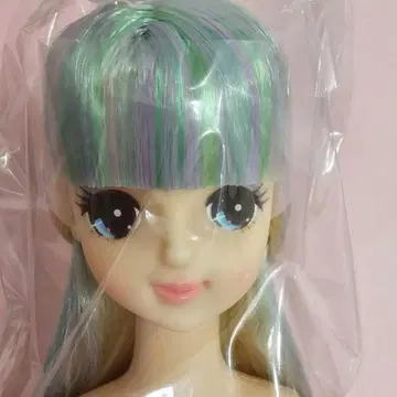 제니 프렌드 마리 오타노시미 인형 미개봉 새상품 리카짱 캐슬 제