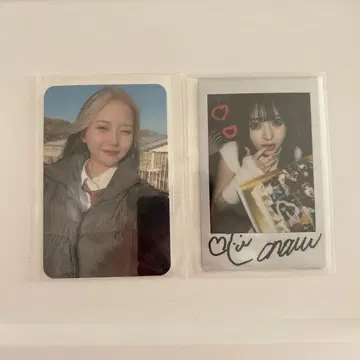 이노미짱 코노리리 유튜버 폴라로이드 트레이딩 카드