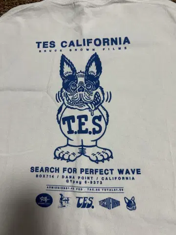 TES the endless summer 엔드리스 써머 티셔츠