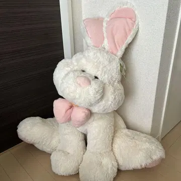 부활절 토끼 코스트코