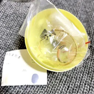 우리 아이의 털 고양이 털 보관함 삼색 고양이