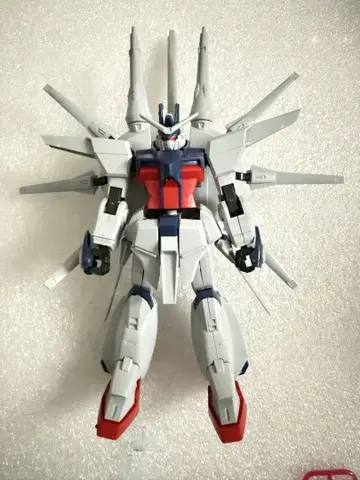 정크 HG 레전드 건담