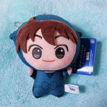 닌자 타마 SD 인형 도이 선생님