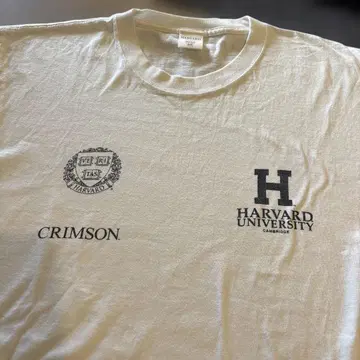 HARVARD UNIVERSITY 티셔츠 F 사이즈 화이트