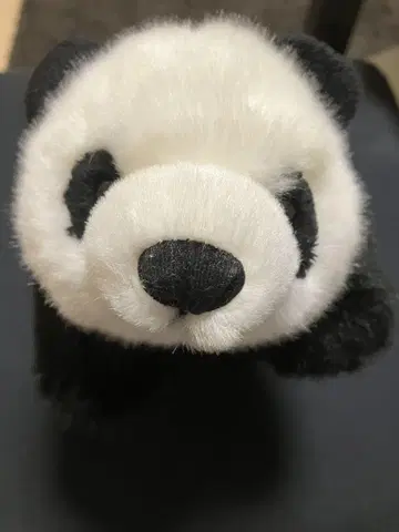 팬더 봉제 인형 25cm