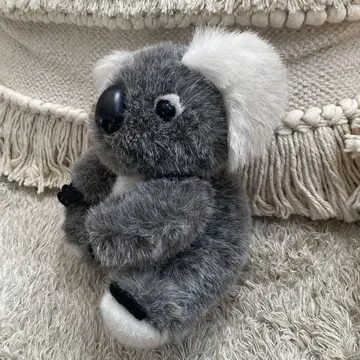 코알라 봉제 인형