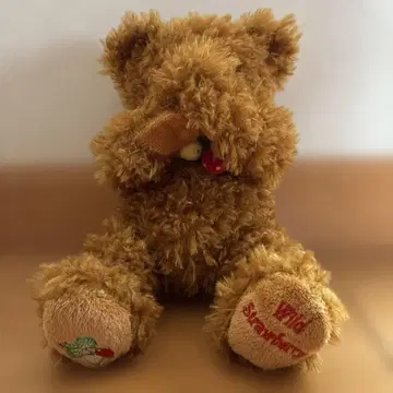 오르골이 달린 야생 딸기 봉제 인형
