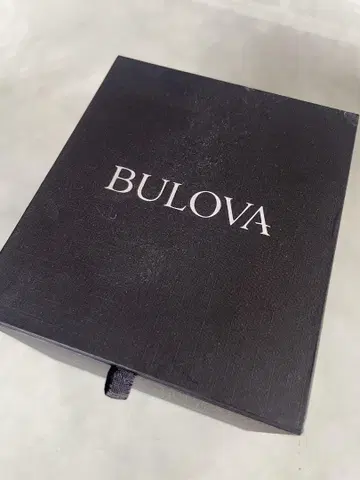 BULOVA PRECISIONIST 실버 블랙