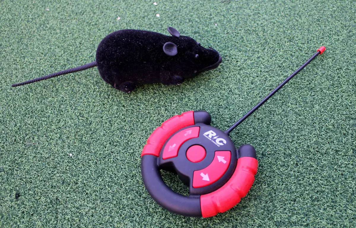 Pet Cat Wireless Remote RC Control Mouse Robot Toy Dongchaj