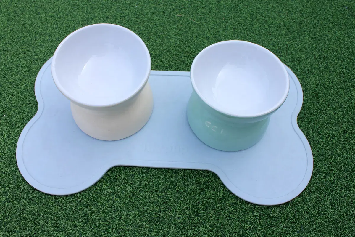 Shipping Included Companion Pet Self Feeder Bowl Set Dongchatz