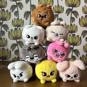 skzoo 백 참 8개 세트