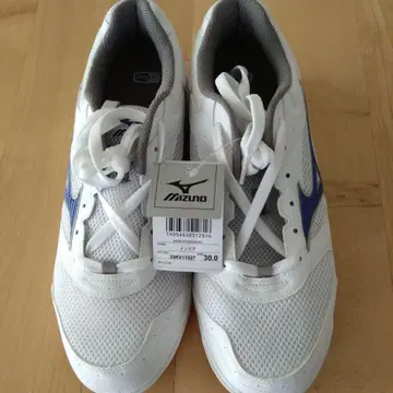 미개봉 새상품 mizuno 실내 신발 30cm