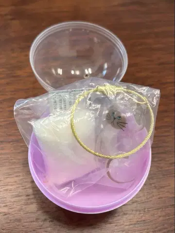 우리 아이는 아직 가챠가챠, 샴