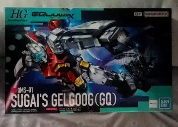 HG 1/144 겔구그 스가이 기체(GQ)