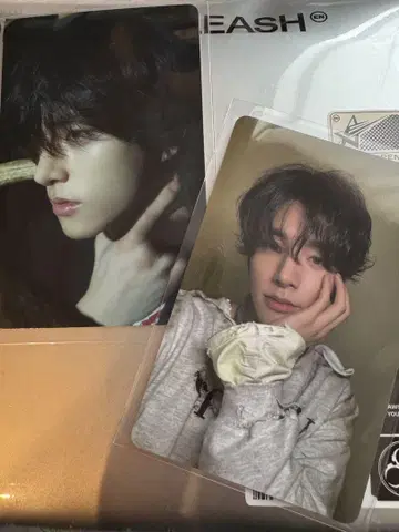 ENHYPEN DESIRE 타워 레코드 팝업 한정판 트레이딩 카드 제이크