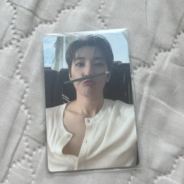 세븐틴 원우 연필원우 포카