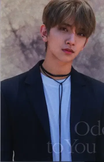 세븐틴 조슈아 2019 ODE to You IN SEOUL 3