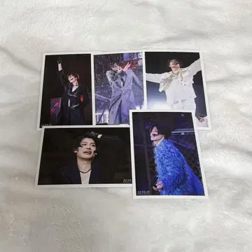 초특급 joker 컴프 세트 알로하