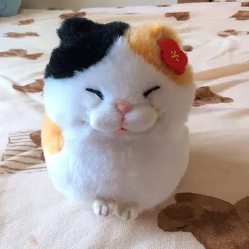히게만주 미사마