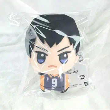 하이큐 SD 인형 카게야마 토비오