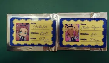 시도 류세이 이토시 사에 믹스 정원 트레이딩 비주얼 경질 카드 세트
