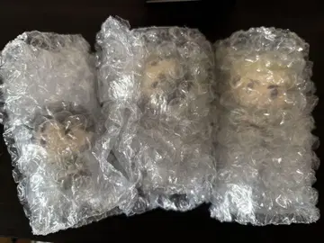 진격의 거인 제일복권 벽 밖의 세계 초코노코