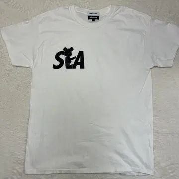 레어 베어브릭 x atmos x WIND AND SEA BE@RT