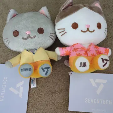 SEVENTEEN 미니 봉제 인형 준 원우