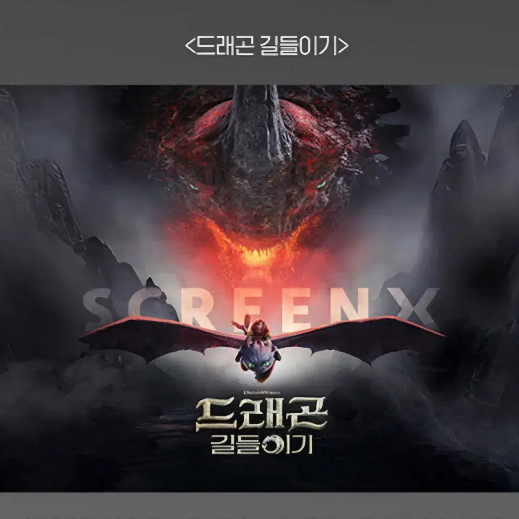 드래곤 길들이기 무비패키지,시그니처4종,포스터7종,수세미 등 세트 판매