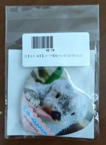 카푸 복권 도바 수족관 랏코의 메이 메이 손