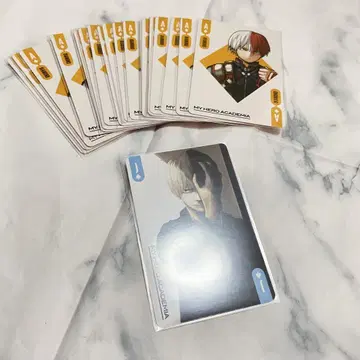 토도로키 쇼토 카드놀이