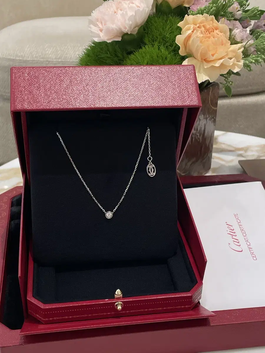 Cartier d'Amour Large L Necklace (Tried on Once)