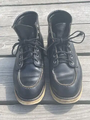 Red Wing 아이리쉬 세터