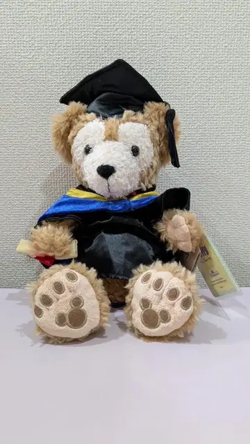 홍콩 디즈니랜드 더피 졸업 대학 프로모션