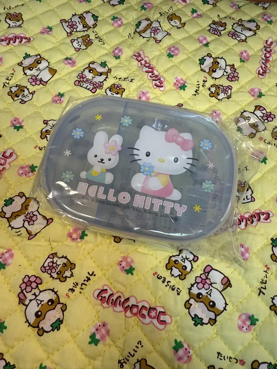 Vintage Kitty Lunchbox