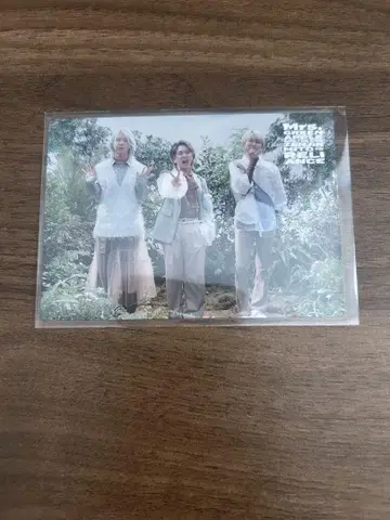 미세스 포토 카드 릴라이언스 022