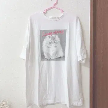 고양이 Big 티셔츠