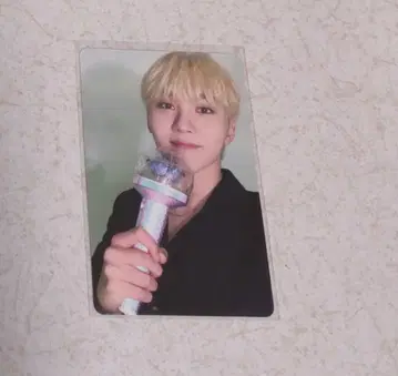 세부치 seventeen 스응광 be the sun 캐럿 존