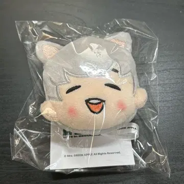 그린 애플 부인 후지사와 리카