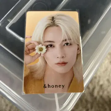안드허니 SEVENTEEN JEONGHAN 카드 3장입