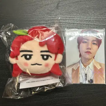Mrs. GREEN APPLE 와카이 코토 포토 카드 레어