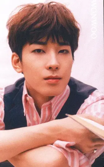 세븐틴 HMV WONWOO An Ode