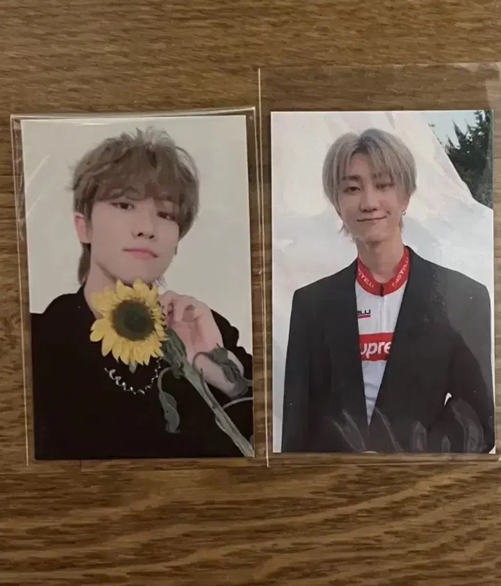 세븐틴 디에잇 포카 gv 지브이 팬싸인회 독 홈 해바라기 공방포카 양도