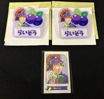 닌자 타마란타로 스이파라 후와 레이조 네임 배지 최애 파샤 홀로 레어