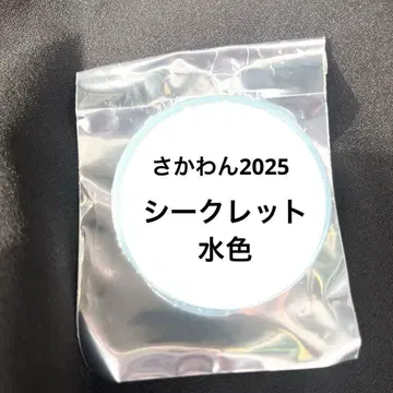 아호노 사카타 사카완 2025 시크릿 시크레 캔뱃지
