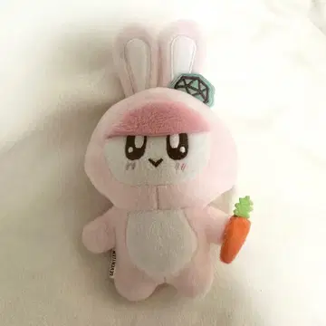세븐틴 모자 꽁지 토끼 ver