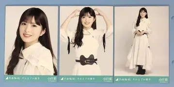 노기자카46 브로마이드 그 때까지의 유예 오가와 아야 컴프