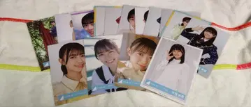 히나타자카46 히라오 호노카 브로마이드 15장 굿즈 묶음 판매